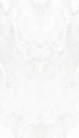 whatsapp image 2025 11 27 at 16.01.15 079ab472 copy